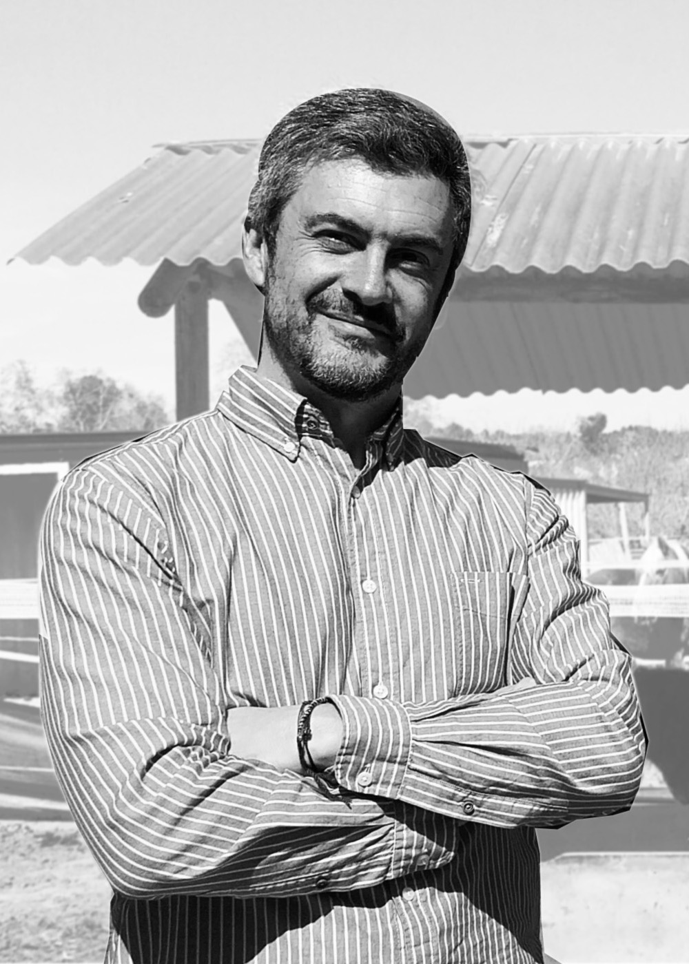 Tomás Cepeda